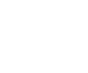 twitter logo white icon